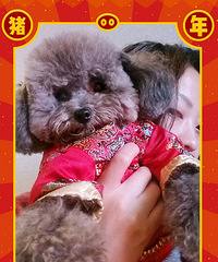 放假咯