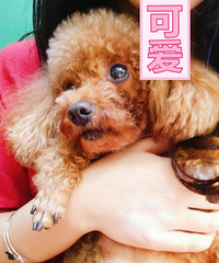 �鷳������������ϵ�ң�һ���б���лл��