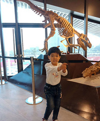 Ѱ�����£�Ѱ�����ţ�ţ���ޣ�Ů��������