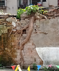 �㽭ʡ����ʲô�ط���ѿ�������ģ������