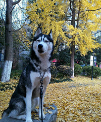 ����Ҽҹ�ʿ������һ�ѣ�19¥С�ྐྵȻ