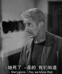 图解电影《蝴蝶梦》浪漫爱情背后的秘密