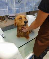 Ѱ�ҽ�ë�űȣ�·����ʧ��