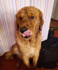 Ѱ�ҽ�ë�ű�