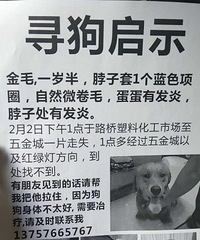 Ѱ�ҽ�ë�ű�