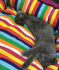 èū�����