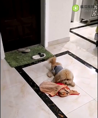 ��Ȯ������ʾ