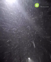 �ؼ����������ѩ �������ѳ������