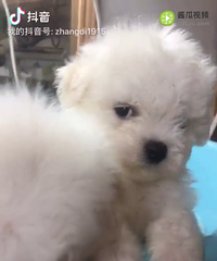 С���ܣ�ϲ������ϵ