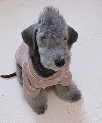 杭州下城区找玩伴