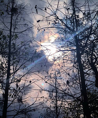 ������˵�������ڷ��䲻���˽Ӵ���������һ