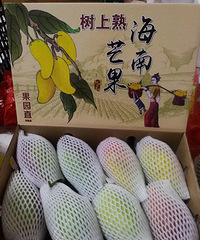 贵妃芒图片