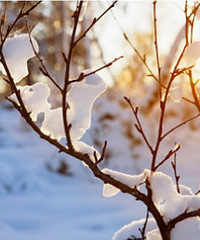 雪景和色彩冷暖