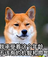 【宠物相亲】还在看附近的人?不如看看“附近的狗”吧!