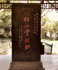 城隍山上的腊梅花开正盛,慢慢找多得是