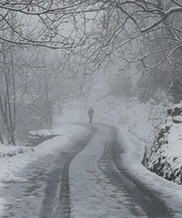 ������ѩ����һ����ζ��