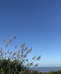 去了离杭最近的那片海,拎个小包说走就走!