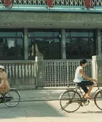 临安人出行变化你经历过哪些?