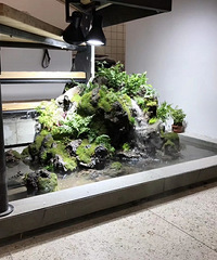 水陆雨林微景观寻找合伙人