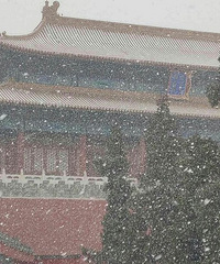 ��ʱ�˿���������ȥ�Ͻ��ǿ�ѩ