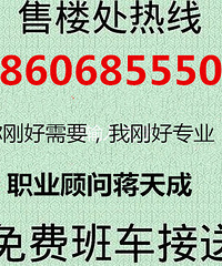 嘉兴《龙鼎万达商铺》隆重开幕面积15-25