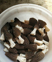 ��������/��Ʒ��Ǿ����У���Ҫ�������۵Ķ�������������