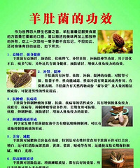 ��������/��Ʒ��Ǿ����У���Ҫ�������۵Ķ�������������