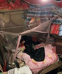 ����ů����