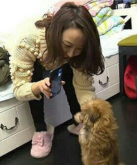 宠物狗去世,妹子花38万克隆爱犬!这样的“归来”靠谱吗?