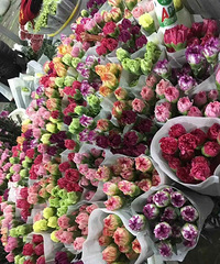 云南鲜花基地康乃馨航空直邮,备战女神节,20枝一束,29.9