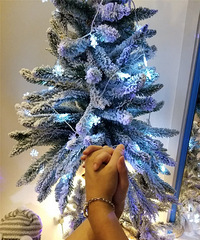 原来已经领证一年了?