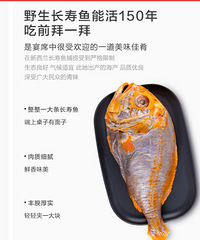 新西兰长寿鱼
