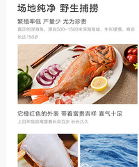 新西兰长寿鱼