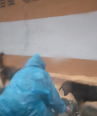 ������ĵ���һĻ