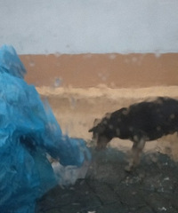 ������ĵ���һĻ