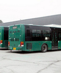 һ�󲨺��ݹ��������������ٰ���ͷ