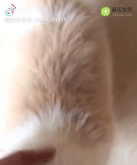 �ưױ���ϲ������û