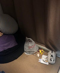 养的兔子会玩捉迷藏是一种什么体验?