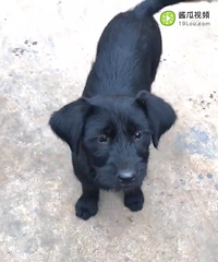 ���һ��������͡�