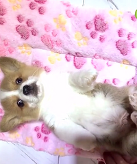 ��ͨ�»��ܵ� ����2000