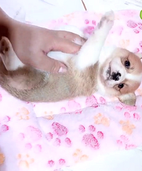 2���¿»��ܵ� ����1500