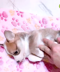 ����2���¿»��ܵ� ����1500