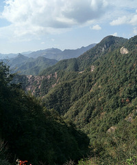 ��Ѱ����Ԯ����ʦ���˾