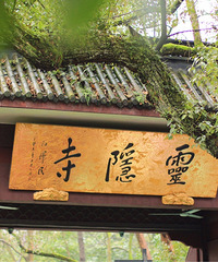 还没这样仔细看过灵隐寺,原来这里的郁金香都开了!