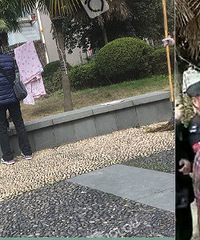 都是太阳惹的祸!晒个衣服老太太被气倒