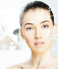 �������沿�������ߵ������