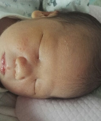 ����������