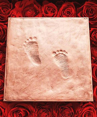 赵丽颖平安产子 好友baby李冰冰苏芒送祝福