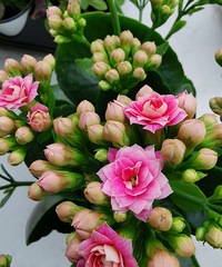 ���д���