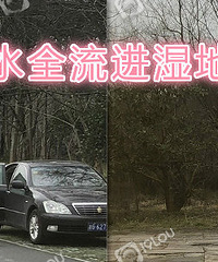 用西溪湿地的水洗车?省这几十块钱值吗